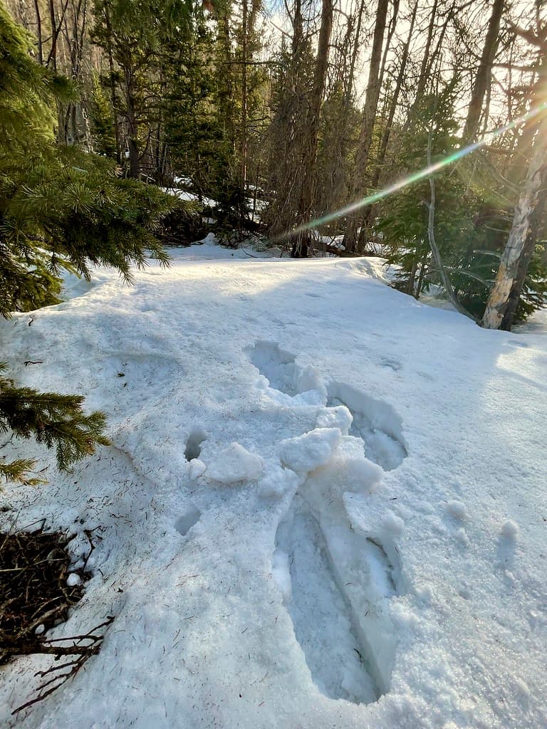 A closer look at that punchcrust and what my snowshoes were doing to it.